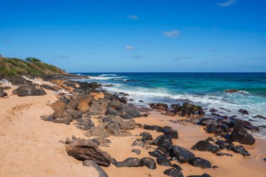 Golden sandy beach with scattered volcanic rocks, turquoise waves, and a clear blue sky. Vegetation covers a small hill on the left side. clipart