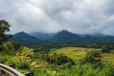 Hawaii, Kauai 'de engebeli, bulutlu dağlarla çevrili yeşil bir vadi ön planda yoğun bitki örtüsüyle yol kenarından görülüyor..