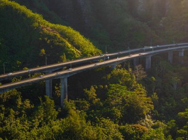 An elevated highway supported by concrete pillars winds through green mountains on Oahu, Hawaii, surrounded by dense tropical vegetation and sunlight. clipart