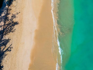 Hawaii 'deki Oahu adasında altın kum turkuaz sularla buluşur. Dalgalar beyaz köpük oluşturur. Ağaç gölgeleri huzur sahnesine derinlik katar..