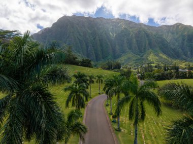 Hawaii, Oahu adasındaki palmiye yolu manzaralı, arka planda Ko olau dağ sırası, kısmen bulutlarla kaplı..
