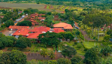 Aerial view of red roofed buildings surrounded by tropical trees, lush greenery, and agricultural fields on Oahu island, Hawaii, with visible pathways. clipart