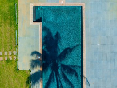 Aerial image of a rectangular pool with an L shaped corner, tiled deck, grassy area, stepping stones, and a tall palm tree shadow across the water. clipart