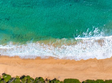 Hawaii, Kauai Adası 'ndaki altın kumsal turkuaz sular ve yemyeşil bitki örtüsüyle çevrili. Dalgalar kıyı boyunca beyaz köpük oluşturur..