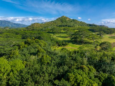 Aerial view of a green landscape on Kauai island with a central hill, dense tropical vegetation, grassy areas, scattered trees, and a clear blue sky. clipart