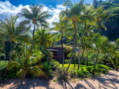 Uzun palmiye ağaçları, Hawaii, Kauai 'de açık mavi bir gökyüzü altında orman kayalıkları ve canlı yeşillik ile, kumlu bir bölgenin yakınındaki ahşap bir yapıyı çevrelemektedir..