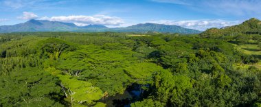 Yoğun yeşil gölgeler Kauai adasının manzarasını kaplıyor, Napali kayalıkları ve dağ sıraları açık mavi gökyüzünün altında..