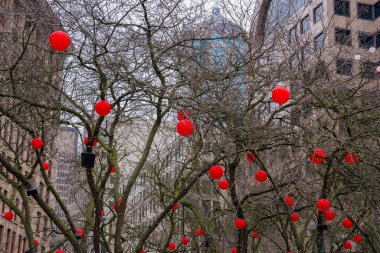 Kırmızı fenerlerle süslenmiş yapraksız ağaçlar kümesi, Seattles kentsel zeminine karşı modern ve tarihi binalar manzaralı..