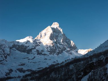 Matterhorn 'lar keskin, kar kaplı tepe açık mavi bir gökyüzü altında yükselir, ön planda orman yamacı ve engebeli alp arazisi orta sahası.