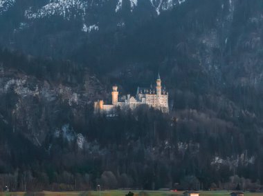 Neuschwanstein Şatosu, Almanya 'nın Bavyera kentindeki ormanlık bir dağın tepesinde, açık duvarları, yüksek kuleleri, karlı zirveleri ve çimenli ön planda yapıları var..