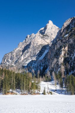 İtalya 'nın Braies Gölü' nde kış sahnesi, karla kaplı bir manzara, engebeli Dolomitler zirvesi, yemyeşil orman ve açık mavi bir gökyüzü..