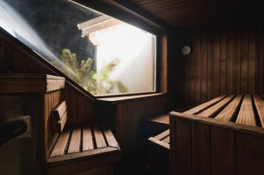 İçi ahşap sauna kaplı banklar, açılı tavan ve doğal ışık sunan büyük bir pencere ve dışarıda kısmi yeşillik manzarası.
