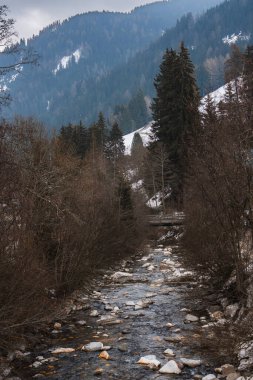Sakin bir dere, sık ağaçlar ve çıplak dallarla çevrili kayalık bir yatağın içinden akar. Karlı yamaçlar ve küçük bir köprü İtalyan Alplerinde görülebilir..