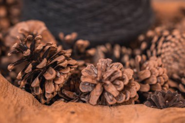 Birkaç çam kozalağı yumuşak, sıcak ışığın altında, ahşap bir yüzeyde dinleniyor. Arka planda bulanık bir koyu nesne rustik bileşime derinlik ekler.