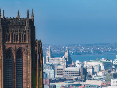 Liverpool Katedrali 'nin, Kraliyet Karaciğer Binası' nın, Mersey Nehri 'nin ve açık mavi gökyüzünün altındaki kentsel manzaraların hava görüntüsü..