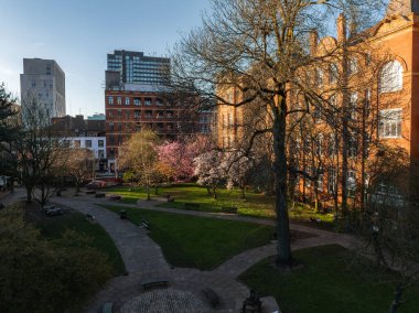 Manchester, İngiltere 'de sakin bir park, kiraz ağaçları, asfalt yollar, banklar ve arka planda kırmızı tuğla ve modern binaların karışımı.
