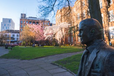 Manchester 'da bronz bir heykel, kırmızı tuğla binalar, kiraz ağaçları ve modern ve geleneksel mimarinin karışımından oluşan sakin bir park..