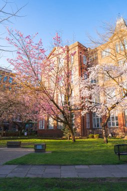 Manchester 'da kiraz ağaçlarının bulunduğu sakin bir park, büyük pencereleri, çimenli alanları, kaldırımları ve bankları olan kırmızı tuğlalı tarihi bir bina..