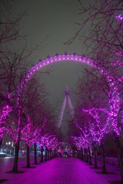 Londra 'nın Gözü, halka açık bir alanda parlak pembe ışıklarla süslenmiş, ağaçlık bir yol tarafından çerçevelenmiş, esmer bir gökyüzüne karşı aydınlanıyor..