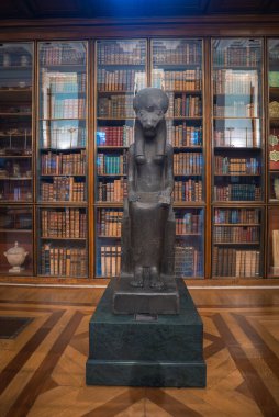 Tanrıça Sekhmet 'in tahtta oturan dişi aslan başlı karanlık taş heykeli ahşap kitap rafları ve cilalı zemini olan bir kütüphane gibi sergileniyor..