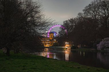Londra 'nın Gözü mor renklerde parlıyor, ağaçlarla kısmen örtülü. Sakin bir su kütlesi, sakin bir park ortamındaki dönme dolabı ve yakınlardaki binaları yansıtır..