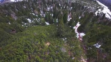 Dolomitler 'deki kış ormanı manzarası. Ebediyete yeşil ağaçlar, dolambaçlı bir yol ve karla kaplı araziyle çevrili küçük bir yerleşim yeri..