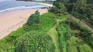 Turkuaz dalgalar Hawaii 'de kumlu bir plaja köpük saçar. Palmiye ağaçları, yemyeşil ve dağınık bulutlu canlı bir gökyüzü..