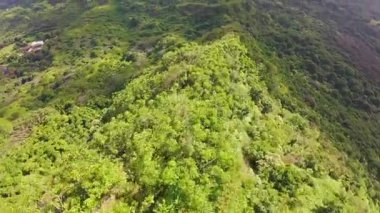 Yoğun yeşillik, yuvarlanan tepeler ve Hawaii 'nin Oahu veya Kauai adalarındaki uzak dağlarla dolu verimli tropikal bir ormanın havadan görünüşü..
