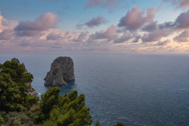 İtalya 'daki Capri Adası' nda denizden yükselen Faraglioni kayaları ön planda yemyeşil ve yukarıda pembe ve mor bir gökyüzü bulunur..