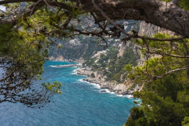 Turkuaz Akdeniz suları, İtalya 'nın Capri kentinde engebeli uçurumlar ve beyaz binalarla buluşurken, ön planda ağaç dalları ve yemyeşil alanlar yer alıyor..