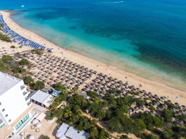 Kıbrıs 'taki Ayia Napa sahili, altın kum, turkuaz deniz, sıra sıra şemsiyeler, yüzücüler ve yeşillikli beyaz lüks bir oteli gösteriyor..