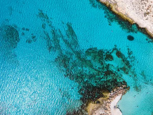 Kristal berrak turkuaz suların görülebilir kaya oluşumları, kayalık bir kıyı şeridi ve Kıbrıs Rum Kesimi Ayia Napa 'da bir dalgakıran manzarası.