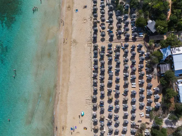 Kıbrıs Rum Kesimi 'nin Ayia Napa kentindeki turkuvaz suları, kumlu kıyı şeridi, güneş pansiyonları, şemsiyeler, yeşillikler ve yakınlardaki tatil beldeleri bulunan bir sahil manzarası..