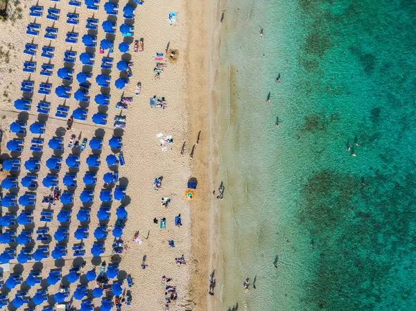 Kıbrıs 'ın Ayia Napa kentinin hava görüntüsünde mavi şemsiyeler, güneş panzeleri, kumlu kıyılar, turkuaz sular ve yüzen ve güneşlenen insanlar görülüyor..
