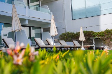 Kıbrıs 'ta lüks bir otelde sakin bir açık alan, beyaz yastıklı güneş şezlongları, şemsiyeler, bereketli çalılar ve cam pencereli modern bir bina.