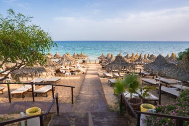 Kıbrıs 'taki sakin bir plajda ahşap bir patika, saman sazlı şemsiyeler, güneş şezlongları, yemyeşil yemyeşil, sakin turkuaz sular ve berrak mavi bir gökyüzü yer alıyor..