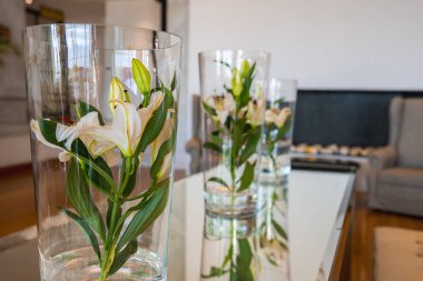 Beyaz zambakları, yansıtıcı bir masadaki uzun cam vazolarda, yumuşak mobilyalar ve doğal ışık akışına sahip modern bir iç mekânda yerleştirin..