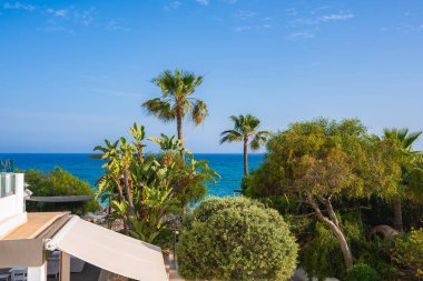 Kıbrıs 'ta sakin bir kıyı sahnesi, palmiye ağaçları, gölgeli beyaz bir bina ve berrak bir gökyüzünün altında canlı mavi deniz yer alıyor..