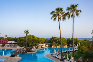 Beyaz şezlonglar, şemsiyeler, uzun palmiye ağaçları, pembe çiçekli ağaçlar ve arka planda Kıbrıs 'ta mavi deniz bulunan büyük bir kıvrım havuzu..