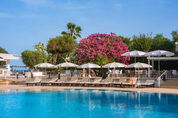 Beyaz şemsiyeli ve şezlonglu berrak mavi bir havuz. Etrafı palmiye ağaçları ve pembe çiçekli ağaçlarla çevrili..