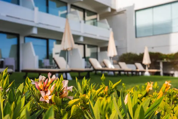 Kıbrıs 'ın çimenli bir bölgesinde beyaz duvarları ve cam balkonları, canlı pembe ve turuncu çiçekleri, güneşlik ve şemsiyeleri olan lüks bir tatil köyü..