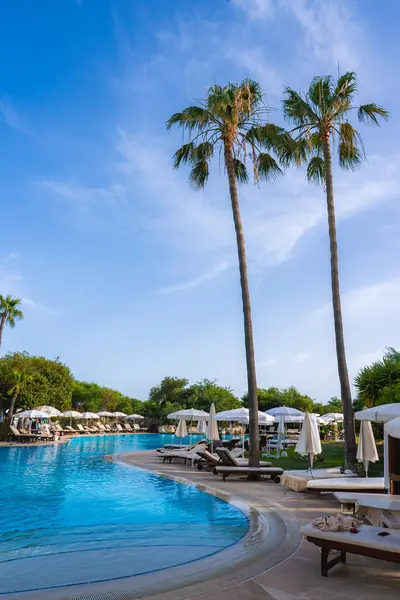 Kıvrımlı kenarlı geniş bir havuz, güneşli şezlonglar, beyaz şemsiyeler ve Kıbrıs 'ta açık mavi bir gökyüzü altında yemyeşil ile çevrili uzun palmiye ağaçları..
