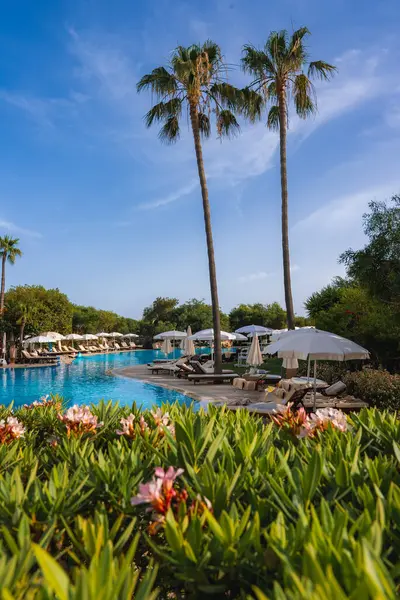 Kıbrıs 'ta yemyeşil, pembe çiçekler ve açık mavi gökyüzünün altında uzun palmiye ağaçlarıyla çevrili sakin bir tatil köyü. Güneş şezlongları ve şemsiyeler havuz hizasında.