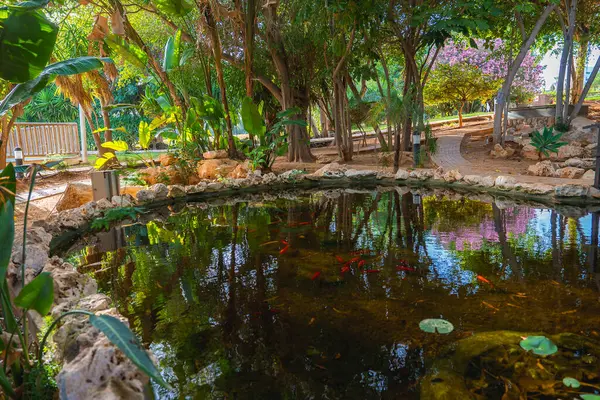 Kıbrıs 'ta, portakal balığı, doğal taş, yemyeşil, mor çiçekler ve ağaçların arasından süzülen güneş ışığının yer aldığı sakin bir bahçe..