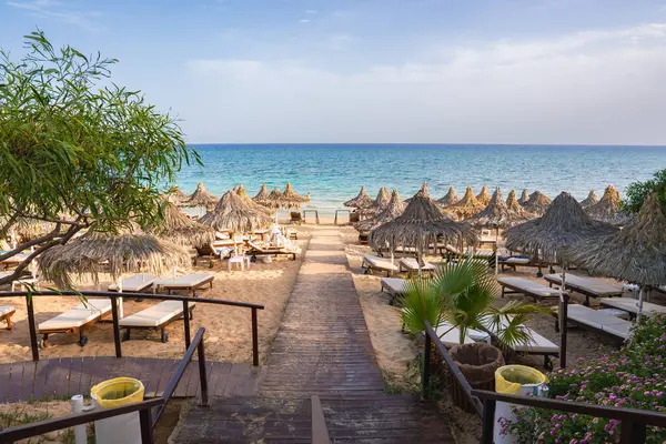 Kıbrıs 'taki sakin bir plajda ahşap bir patika, saman sazlı şemsiyeler, güneş şezlongları, yemyeşil yemyeşil, sakin turkuaz sular ve berrak mavi bir gökyüzü yer alıyor..