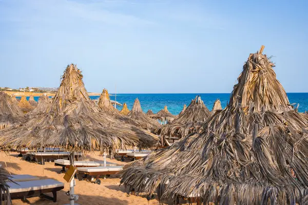 Sazlı şemsiyeleri ve güneş şezlongları olan altın kumsal turkuaz deniz, açık mavi gökyüzü ve Kıbrıs 'ın arka planında kayalık bir kıyı şeridi..