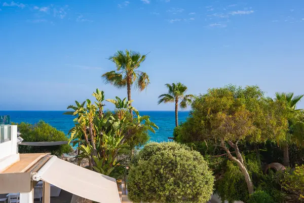 Kıbrıs 'ta sakin bir kıyı sahnesi, palmiye ağaçları, gölgeli beyaz bir bina ve berrak bir gökyüzünün altında canlı mavi deniz yer alıyor..