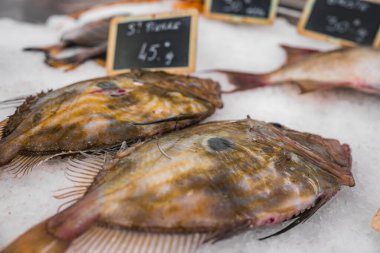 Kendine özgü oval şekli ve buzda görünen koyu lekeleri olan taze John Dory balığı. Avro olarak fiyatlandırılmış tebeşir tabelaları Fransız pazarının kurulmasını öneriyor.