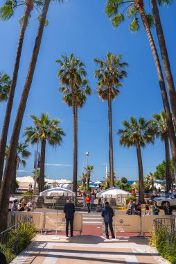Fransa 'nın Cannes kentindeki Carlton Oteli yakınlarında güneşli bir gökyüzü altında düzenlenen resmi etkinlikte yüksek palmiye ağaçları, beyaz çadırlar ve dekoratif bariyerler görülüyor..