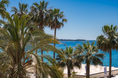 Uzun palmiye ağaçları Fransa 'nın Cannes kentindeki gök mavisi Akdeniz' i sudaki tekneler ve güneşli bir günde parlak mavi gökyüzü ile çevreledi..